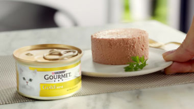 Gourmet solitaire hotsell cat food asda